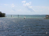 IMG_1984b.JPG