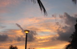 IMG_2087b.JPG