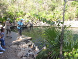 IMG_2217b.JPG