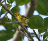 DSC_0115b.JPG