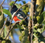 DSC_0015b.JPG