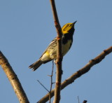 DSC_0877b.JPG