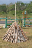 DSC_0901b.JPG