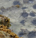 DSC_0121b.JPG