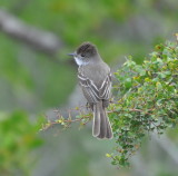 DSC_0073b.JPG