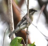 DSC_0260b.JPG