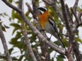DSC_0298b.JPG