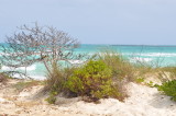 DSC_0548b.JPG