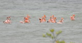 DSC_0619b.JPG