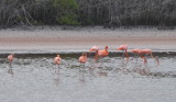DSC_0967b.JPG