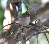 DSC_0129b.JPG