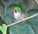 DSC_0168b.JPG