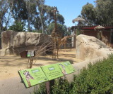 IMG_5004b.JPG