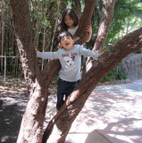 IMG_5057b.JPG