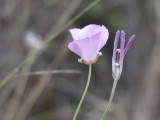 DSC_0471b.JPG