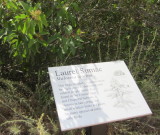 IMG_5072b.JPG
