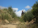 IMG_5129b.JPG