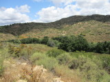IMG_5142b.JPG