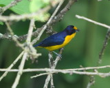 DSC_0004b.JPG