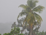 DSC_0216b.JPG