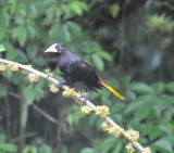 DSC_0330b.JPG