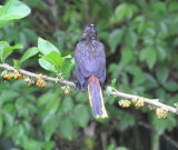 DSC_0341b.JPG