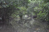 DSC_0621b.JPG
