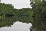 DSC_0796b.JPG