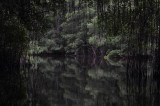 DSC_0807b.JPG