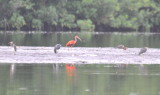 DSC_0827b.JPG