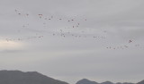 DSC_0835b.JPG