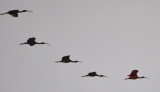 DSC_0872b.JPG