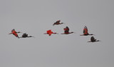 DSC_0936b.JPG
