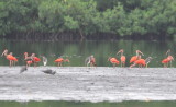 DSC_0036b.JPG