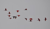 DSC_0042b.JPG