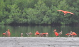 DSC_0068b.JPG
