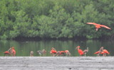 DSC_0069b.JPG