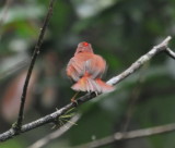 DSC_0193b.JPG
