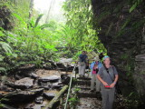IMG_5319b.JPG