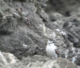 DSC_0008b.JPG