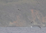 DSC_0079b.JPG