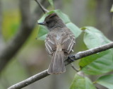 DSC_0161b.JPG