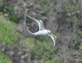 DSC_0399b.JPG