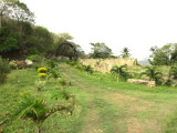 IMG_5494b.JPG