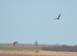 DSC_1196b.JPG