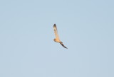 DSC_1257b.JPG