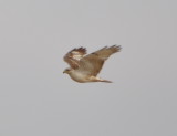 DSC_0936b.JPG