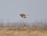 DSC_0963b.JPG