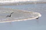 DSC_1763b.JPG