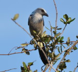 DSC_1881b.JPG